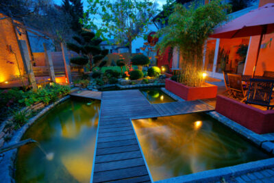 Night indoor garden